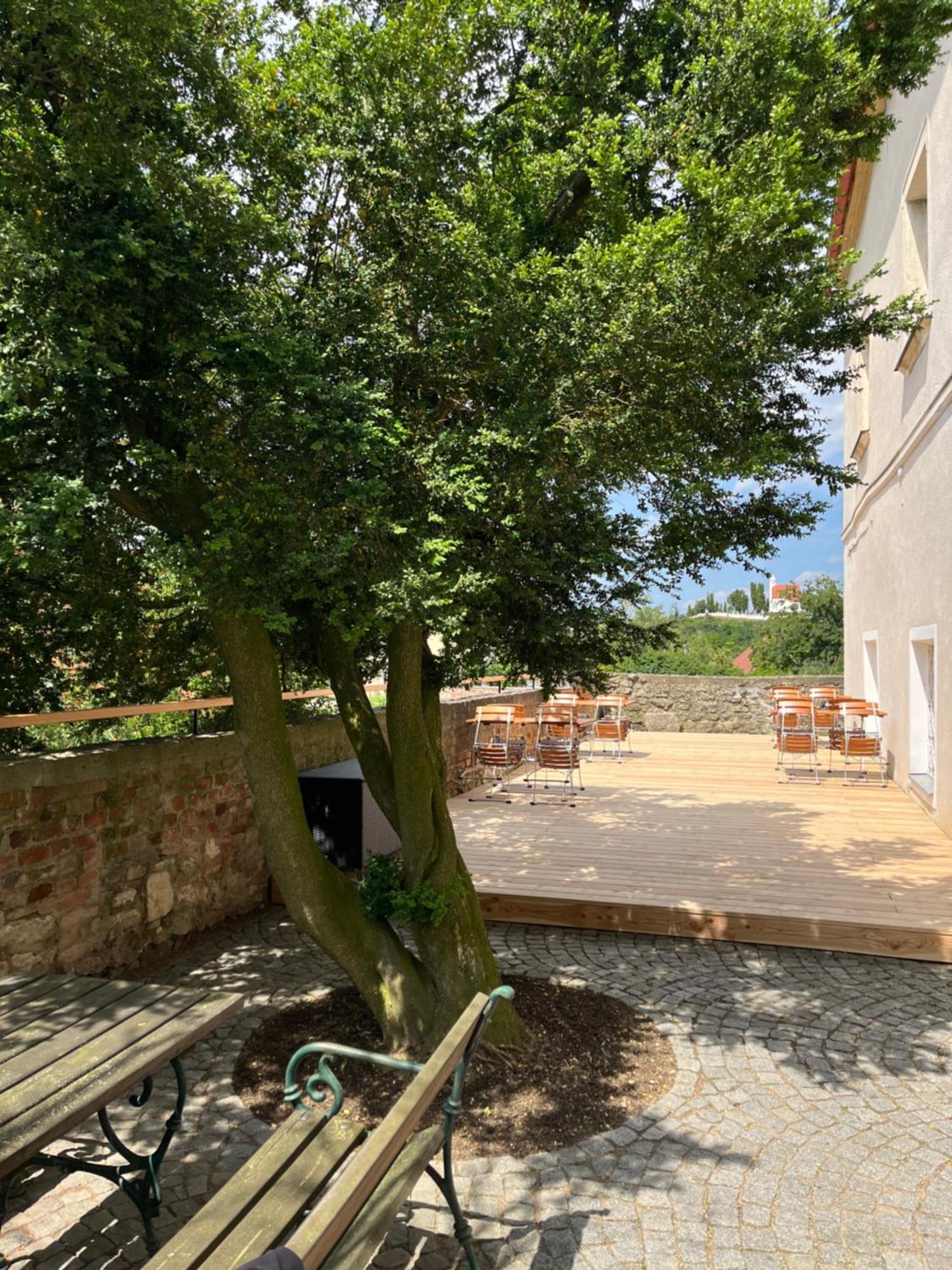 Schlosshotel Mailberg Екстер'єр фото